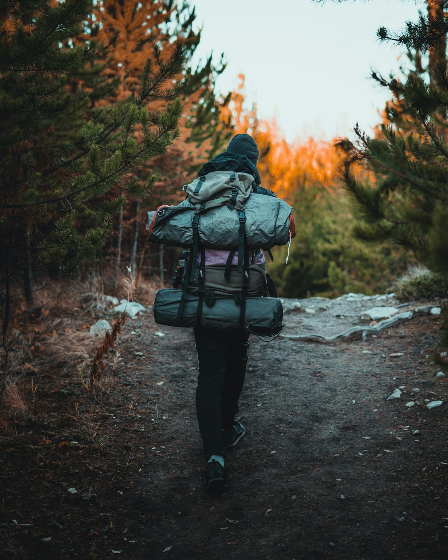 From Dream to Reality: Streamlining Camping Plans